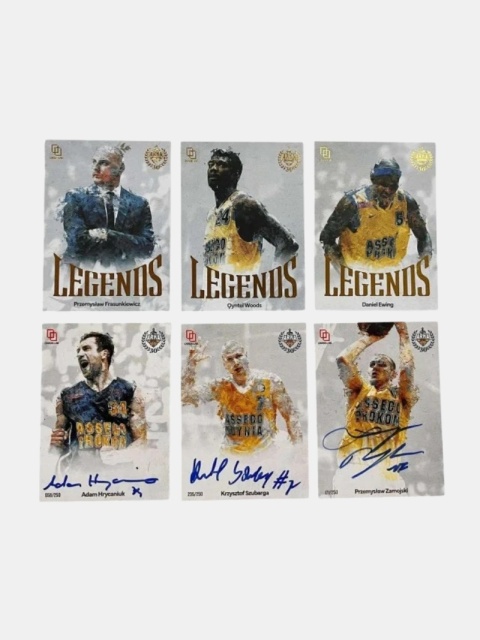 2025/26 Cards Lab Fanset Arka Gdynia