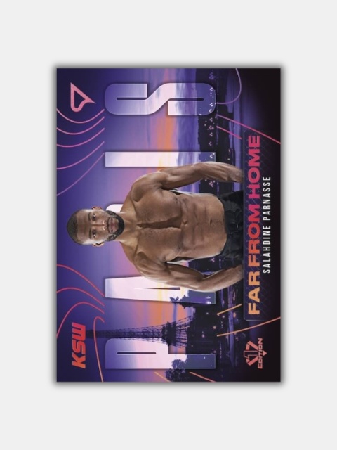 2026 SportZoo KSW Hobby Box
