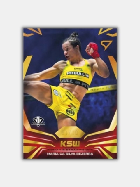 2026 SportZoo KSW Hobby Box